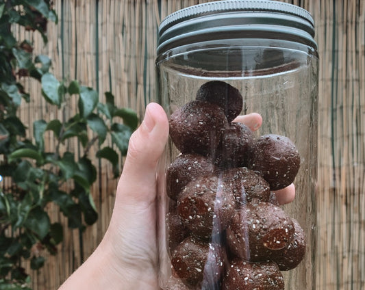 Refreshing Choc Mint Bliss Balls