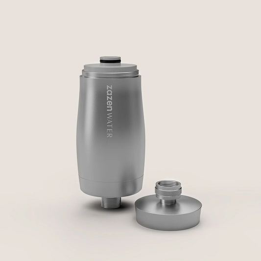 Zazen Infinity Shower Filter